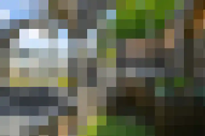 Kalf R 5 ROOD Zaandam thumbnail 29