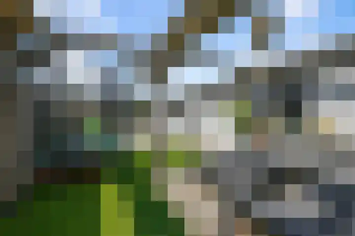 Kalf R 5 ROOD Zaandam thumbnail 30
