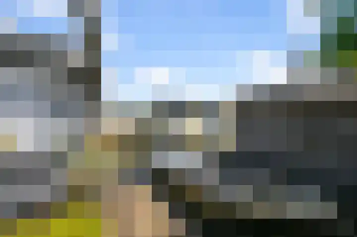 Kalf R 5 ROOD Zaandam thumbnail 31