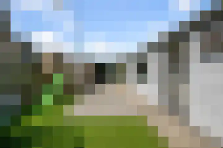 Kalf R 5 ROOD Zaandam thumbnail 33