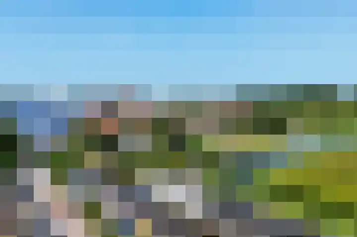 Kalf R 5 ROOD Zaandam thumbnail 35