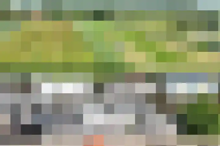 Kalf R 5 ROOD Zaandam thumbnail 36
