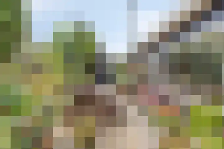 Kalf R 7 ROOD Zaandam thumbnail 10