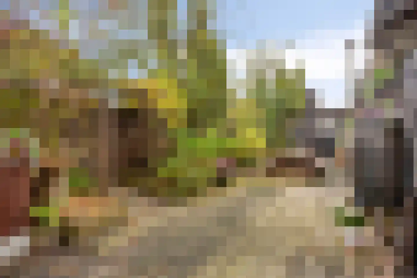 Kalf R 7 ROOD Zaandam thumbnail 29