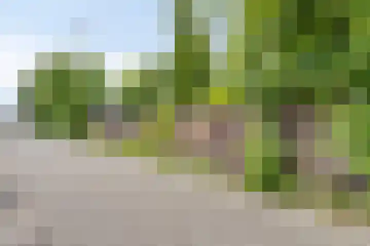 Kalf R 7 ROOD Zaandam thumbnail 29