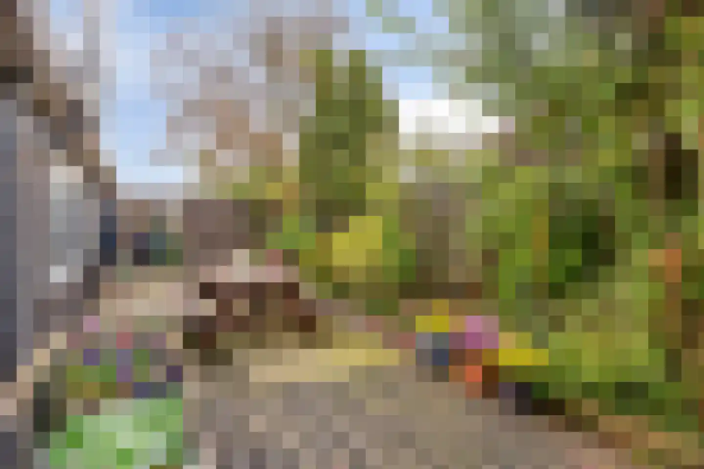 Kalf R 7 ROOD Zaandam thumbnail 30