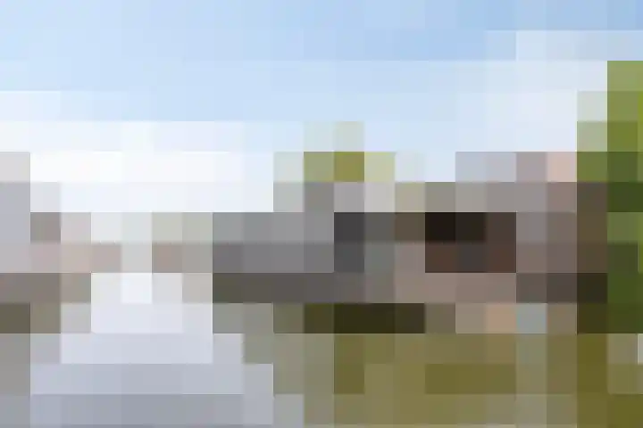 Kalf R 7 ROOD Zaandam thumbnail 4