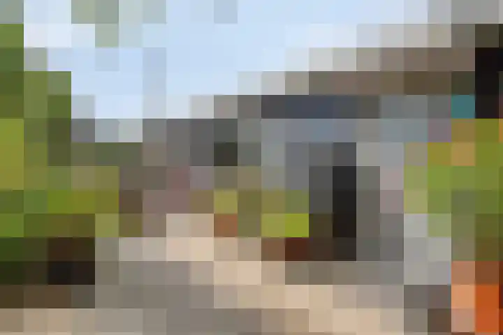 Kalf R 7 ROOD Zaandam thumbnail 6