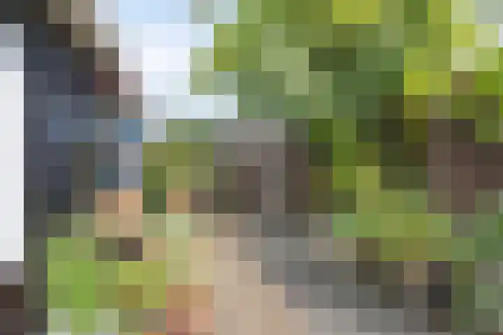 Kalf R 7 ROOD Zaandam thumbnail 7