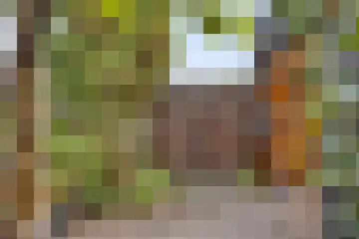 Kalf R 7 ROOD Zaandam thumbnail 8