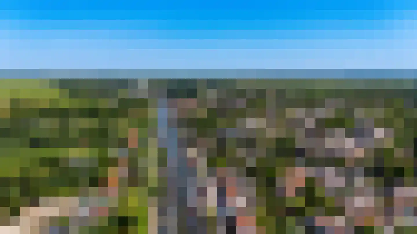 Kalf R 9 ROOD Zaandam thumbnail 36