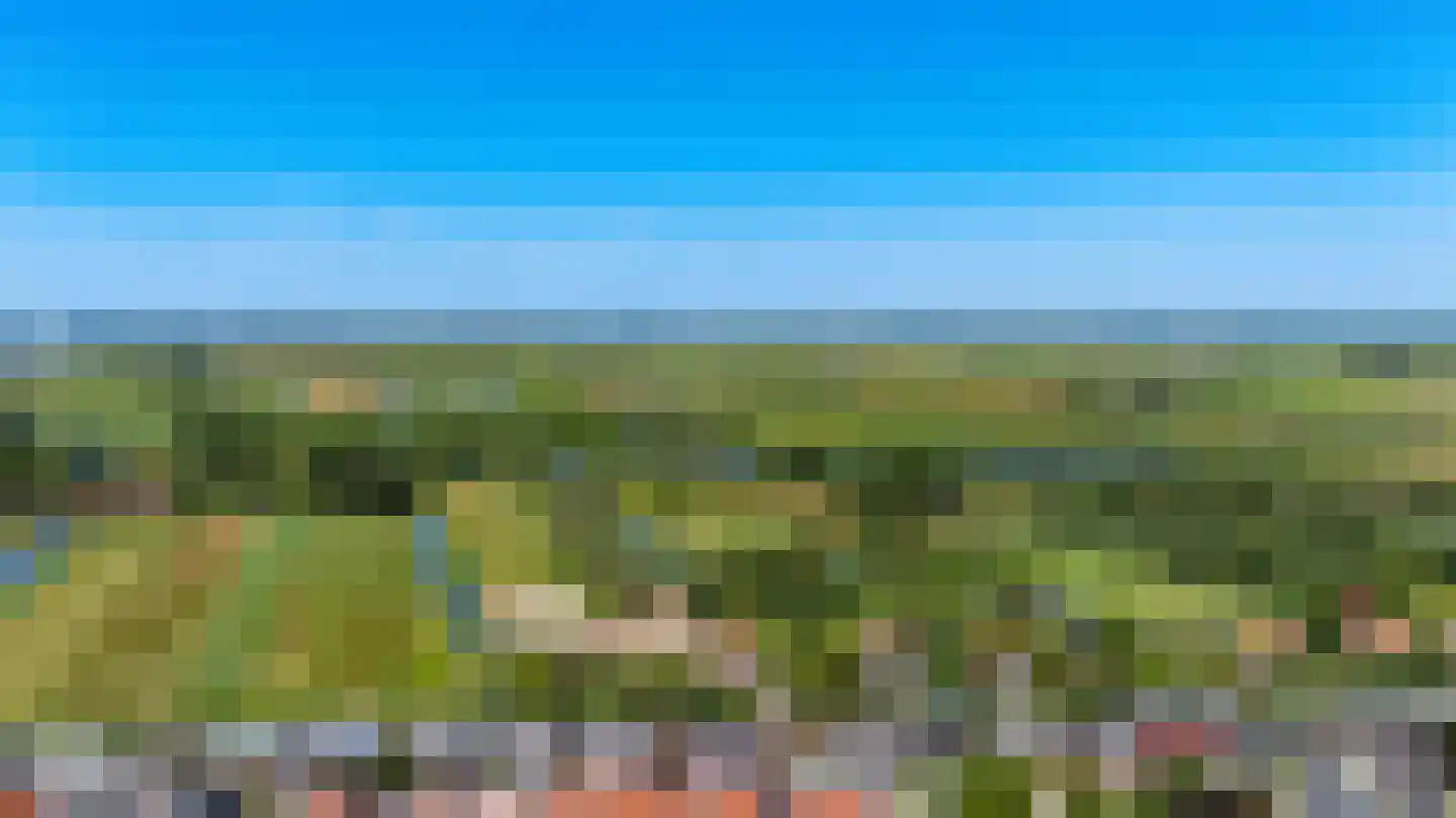 Kalf R 9 ROOD Zaandam thumbnail 38