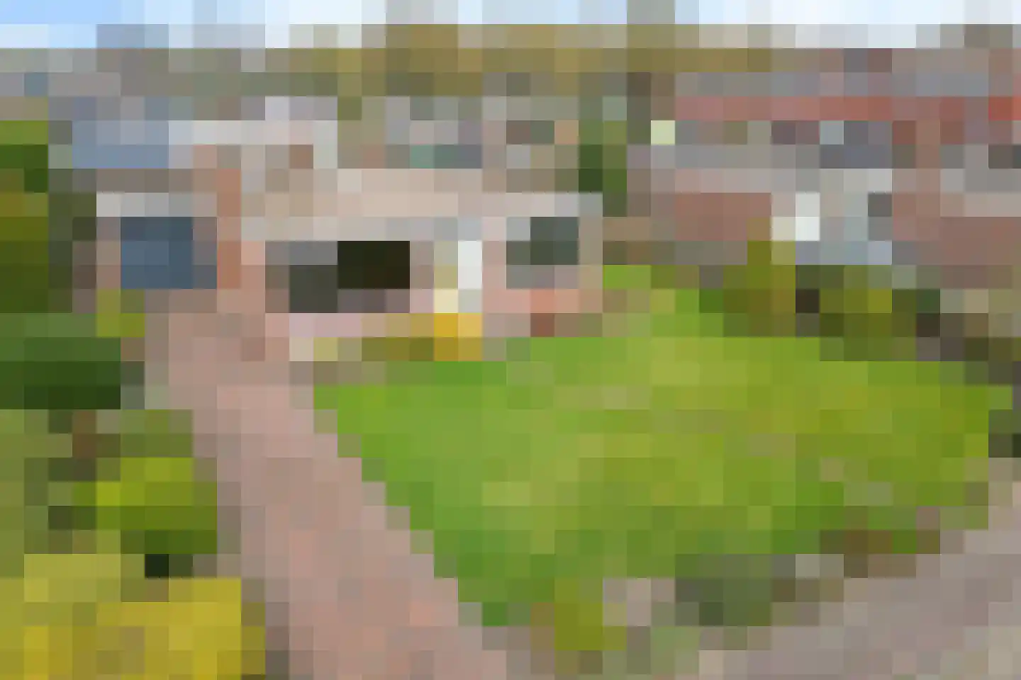 Kalffstraat 45 Erica thumbnail 43
