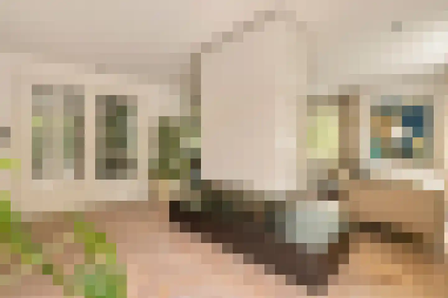 Kalfjeslaan 47 Amstelveen thumbnail 11