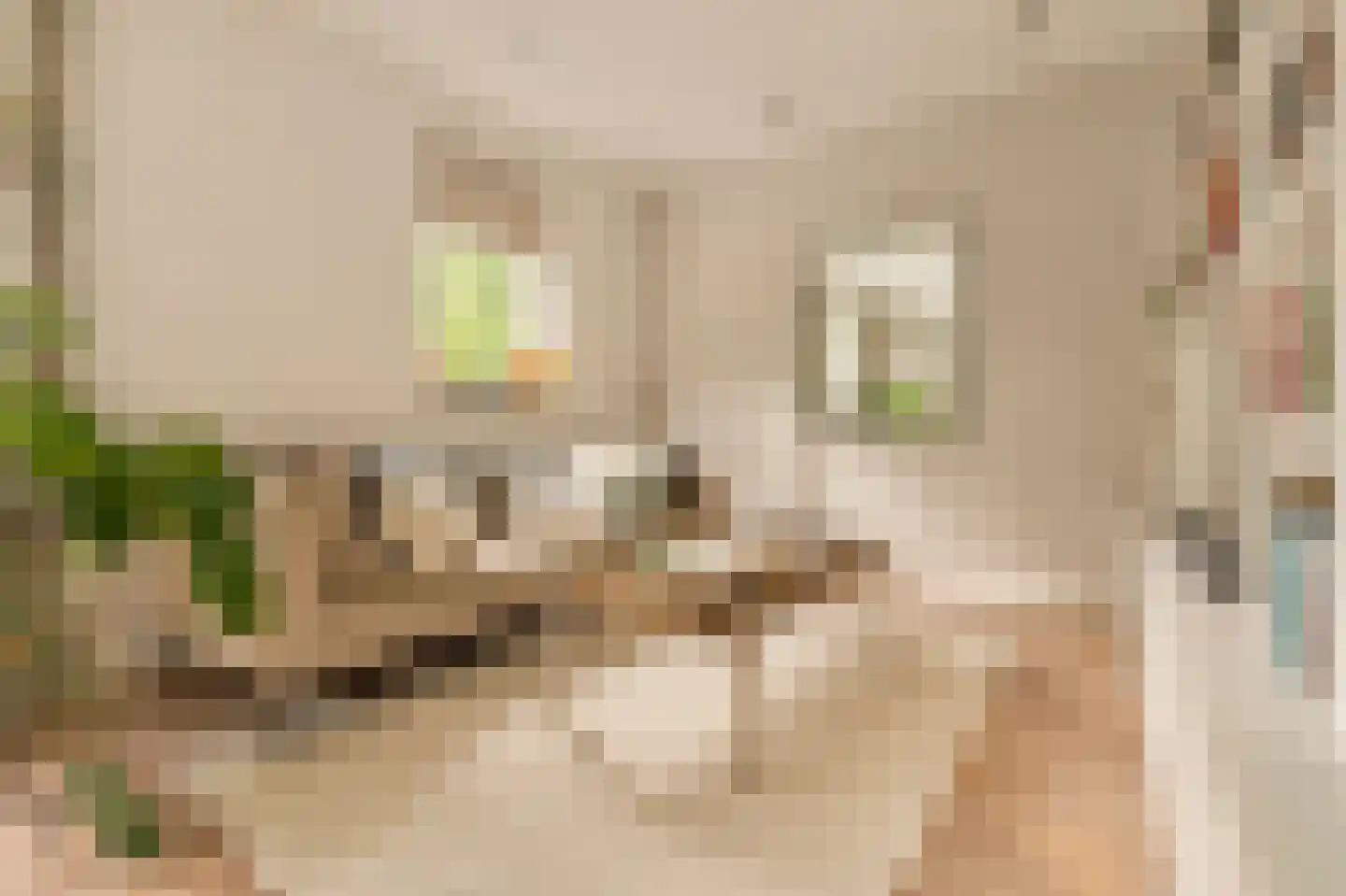 Kalfjeslaan 47 Amstelveen thumbnail 14