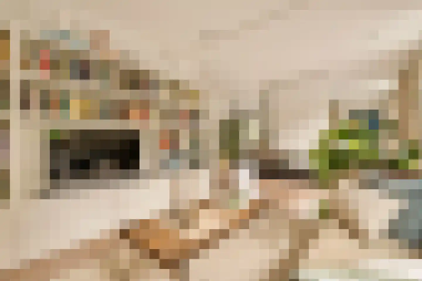 Kalfjeslaan 47 Amstelveen thumbnail 15