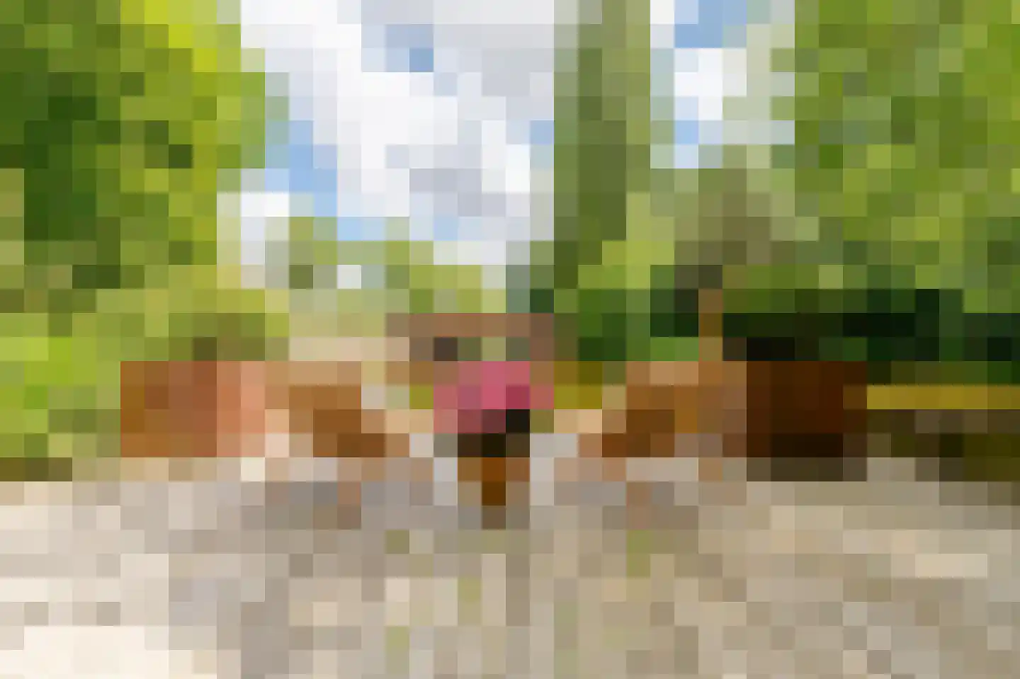 Kalfjeslaan 47 Amstelveen thumbnail 27