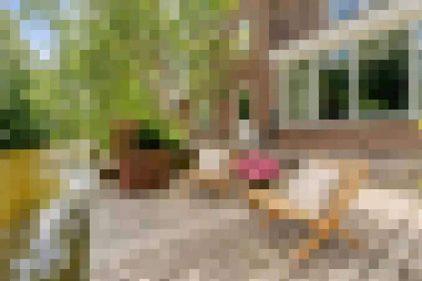 Kalfjeslaan 47 Amstelveen thumbnail 28