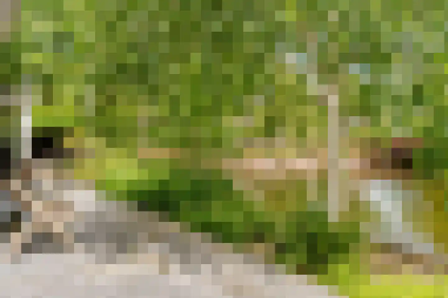Kalfjeslaan 47 Amstelveen thumbnail 30