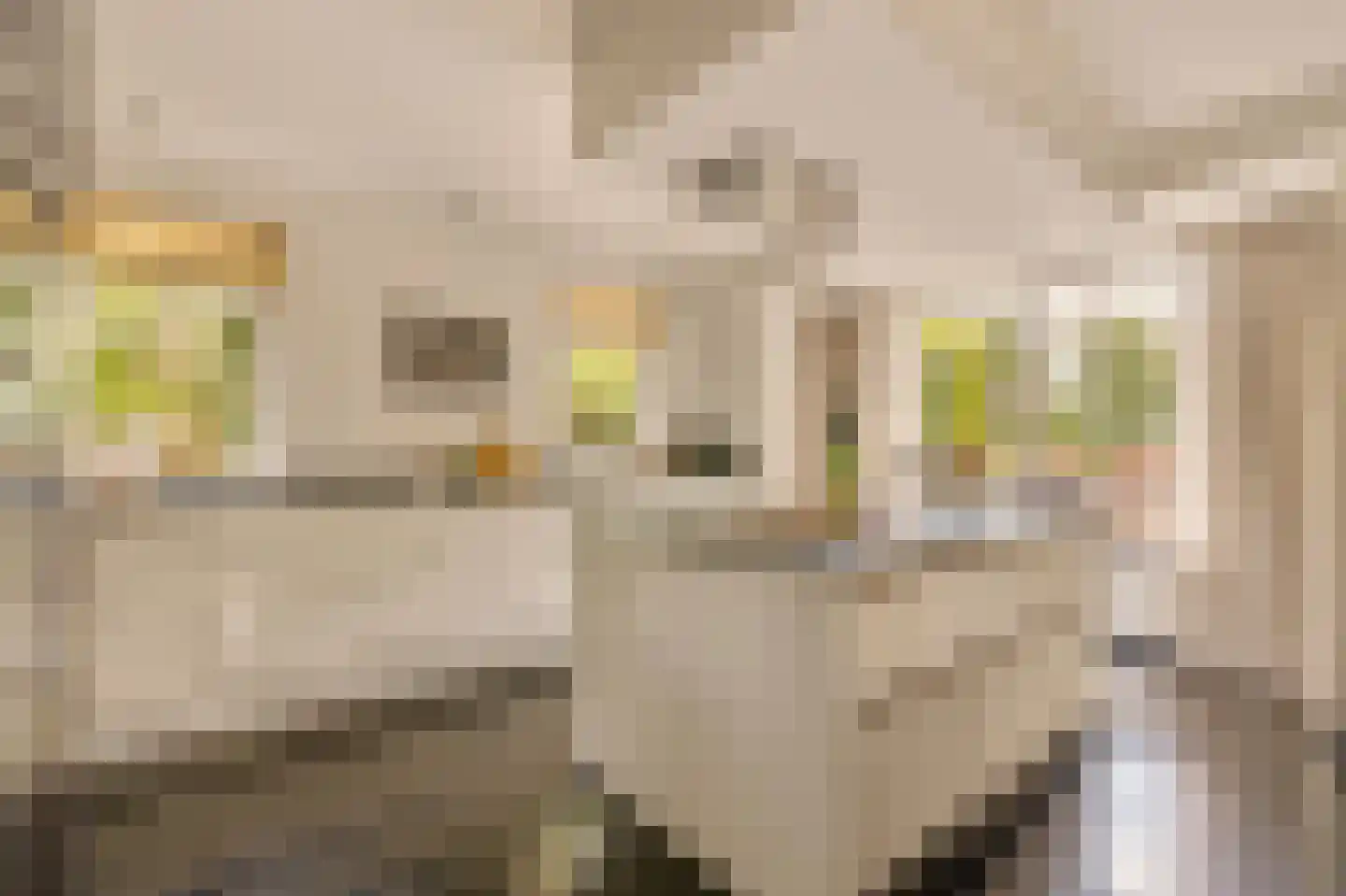 Kalfjeslaan 47 Amstelveen thumbnail 4