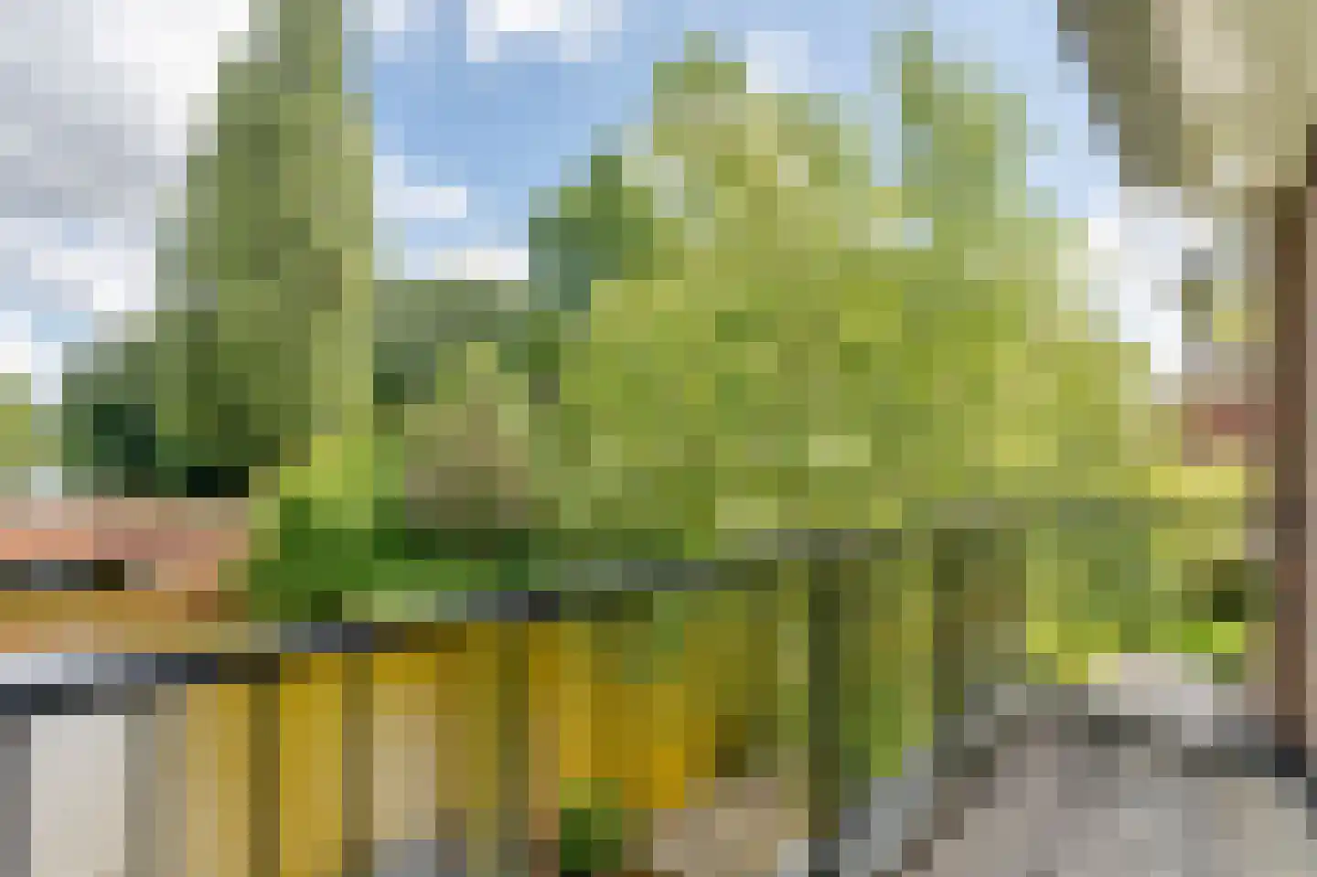 Kalfjeslaan 47 Amstelveen thumbnail 42