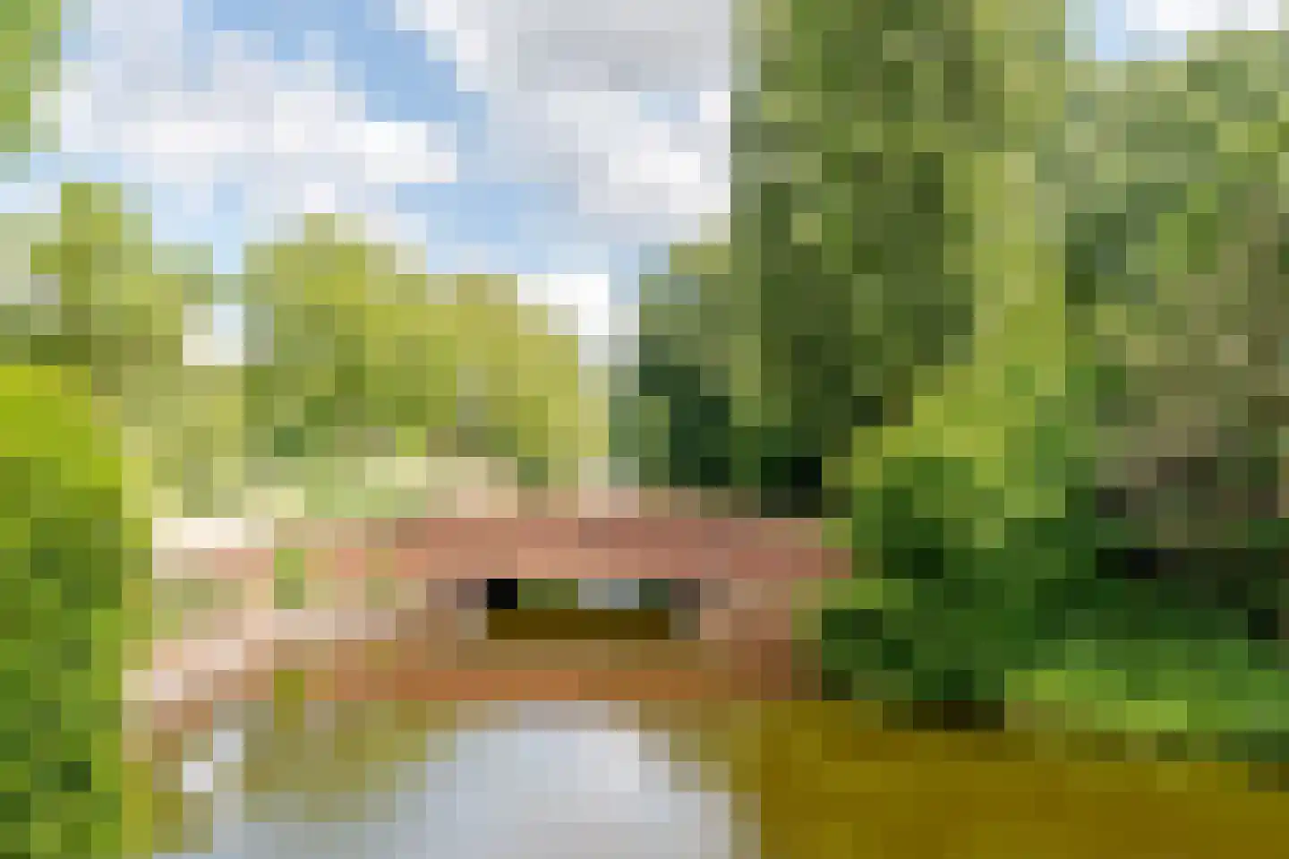 Kalfjeslaan 47 Amstelveen thumbnail 44