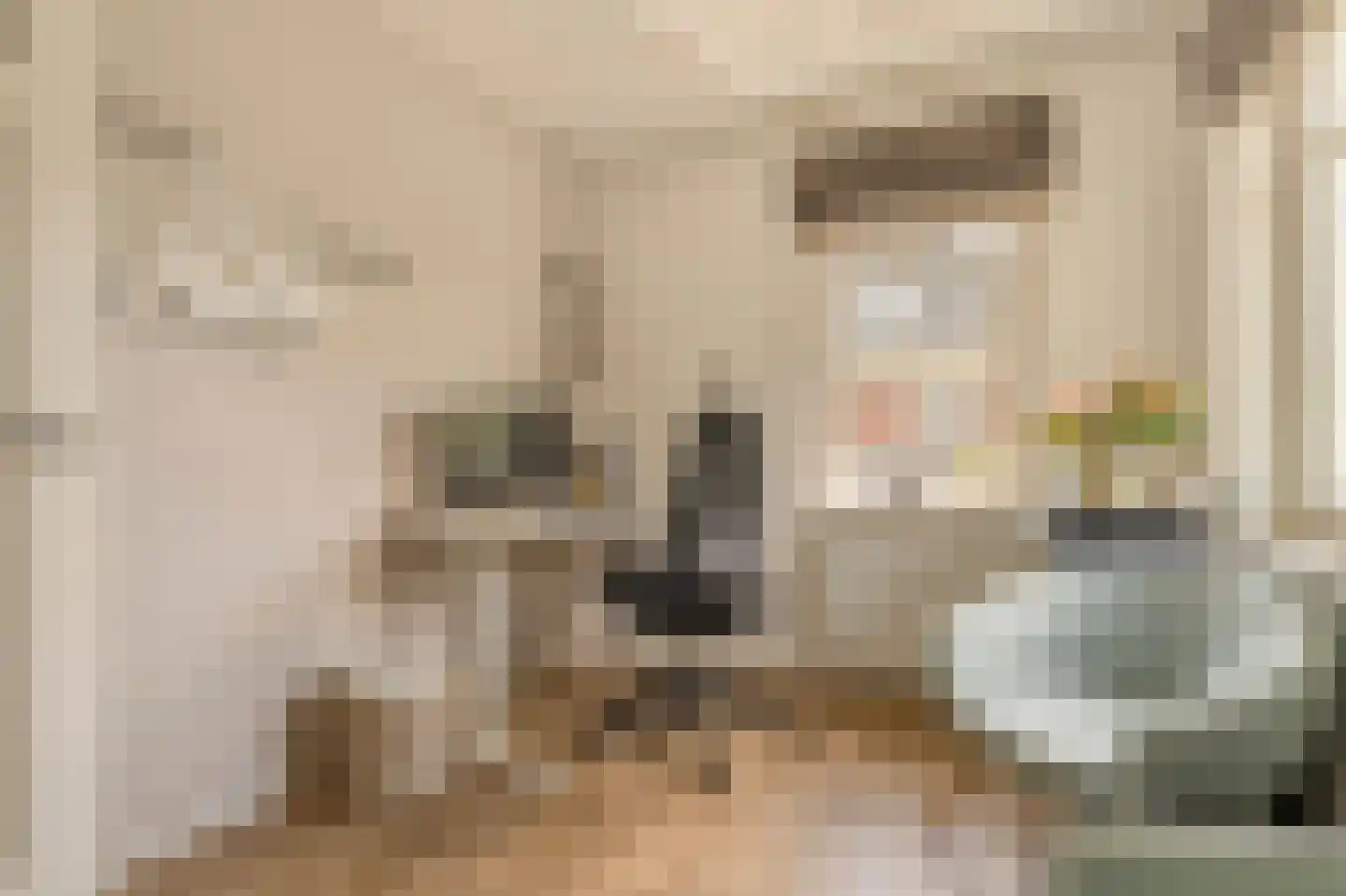 Kalfjeslaan 47 Amstelveen thumbnail 47