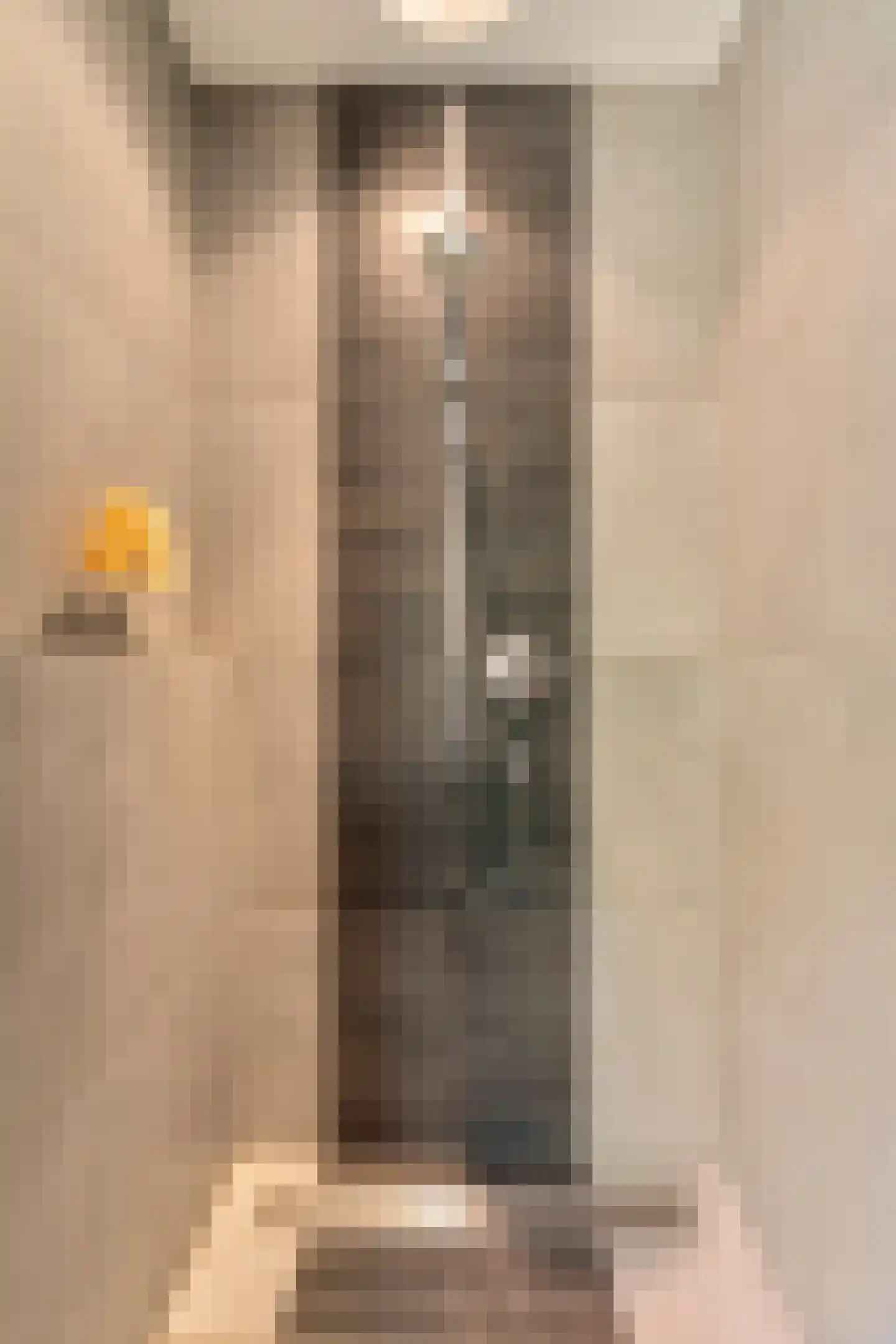 Kalfjeslaan 47 Amstelveen thumbnail 52