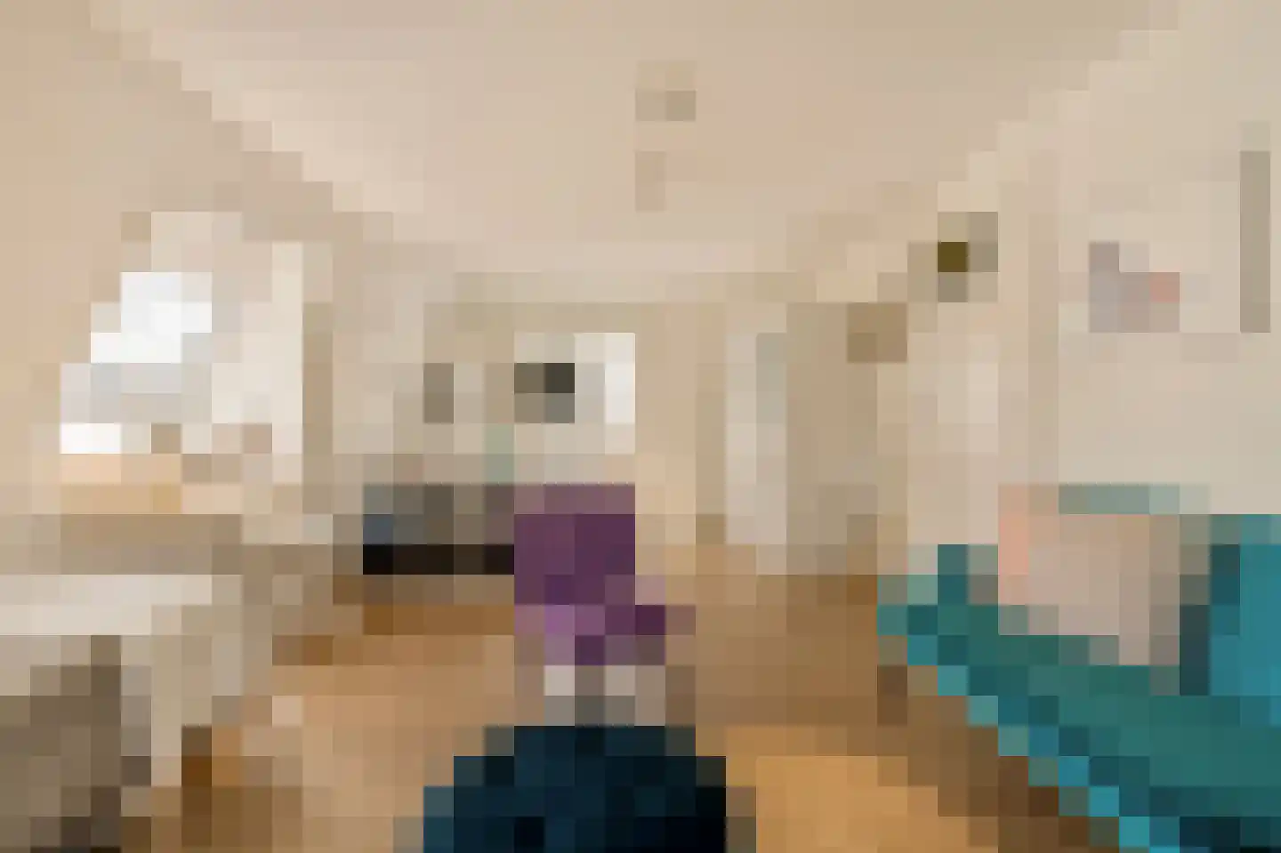 Kalfjeslaan 47 Amstelveen thumbnail 56
