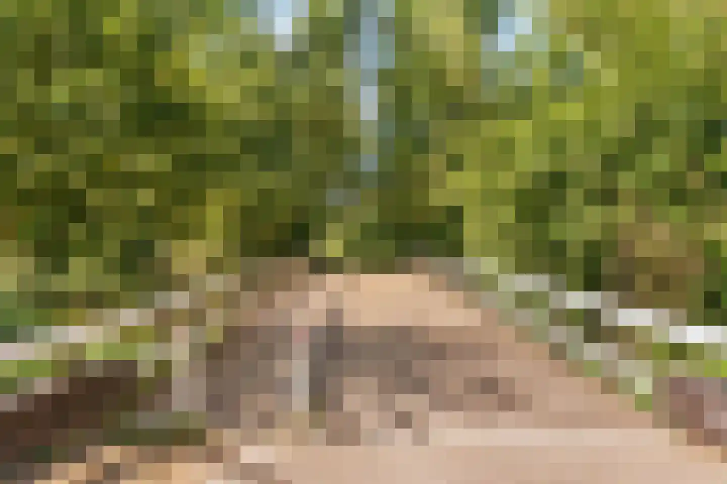 Kalfjeslaan 47 Amstelveen thumbnail 66