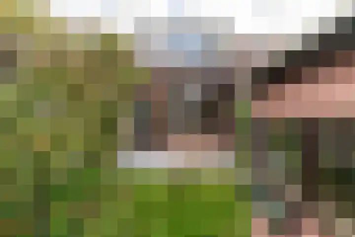 Kalfjeslaan 49 Delft thumbnail 16