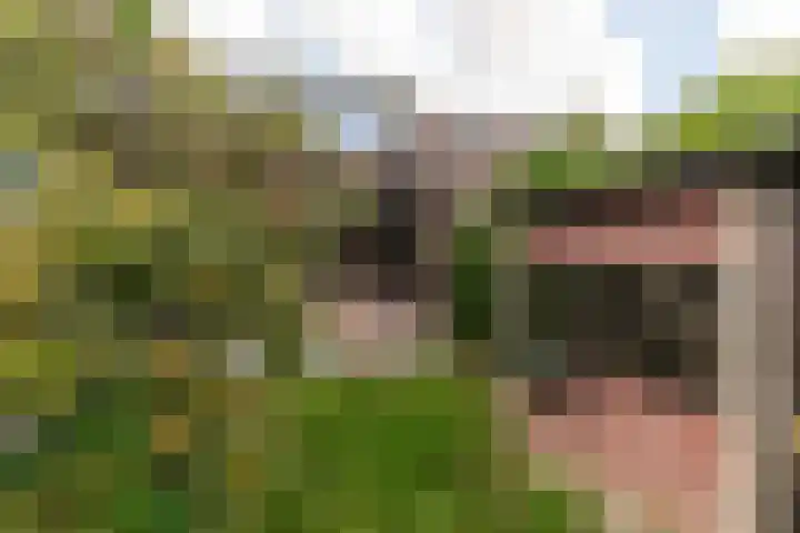 Kalfjeslaan 49 Delft thumbnail 17