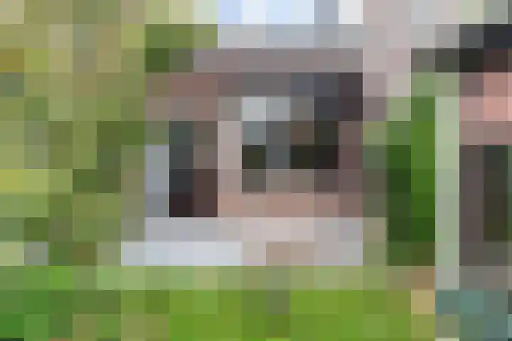 Kalfjeslaan 49 Delft thumbnail 18