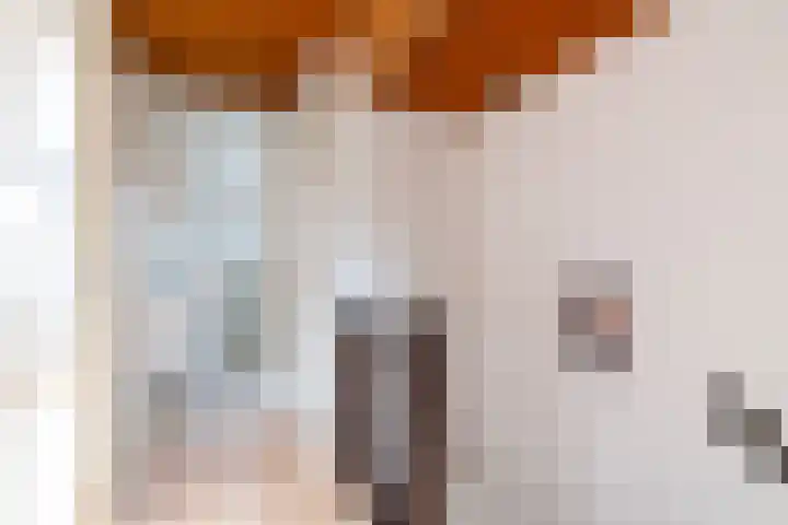 Kalfjeslaan 49 Delft thumbnail 23