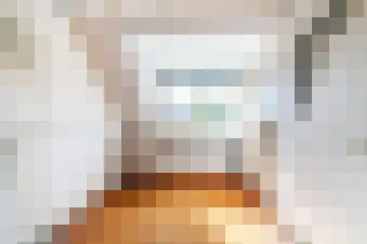 Kalfjeslaan 49 Delft thumbnail 31