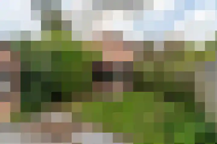 Kalfjeslaan 49 Delft thumbnail 4
