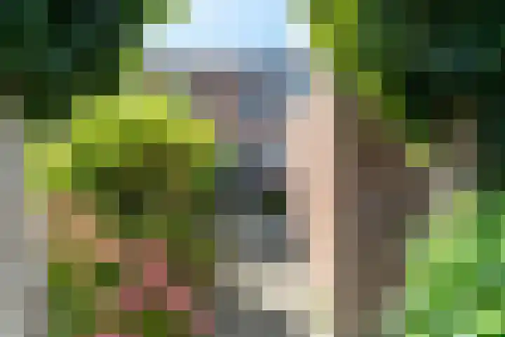 Kalfjeslaan 49 Delft thumbnail 5