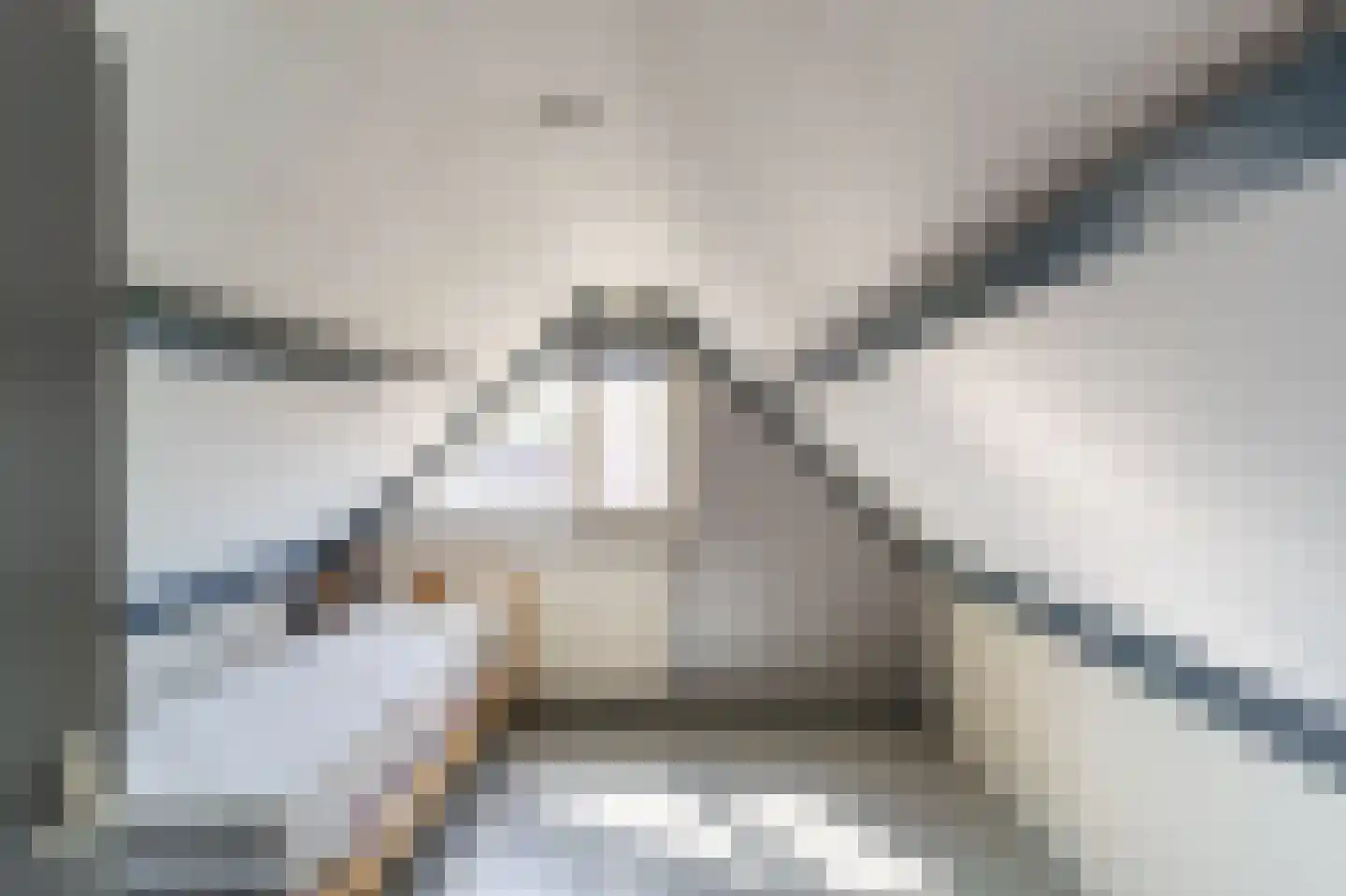 Kalfjeslaan 79 Delft thumbnail 20