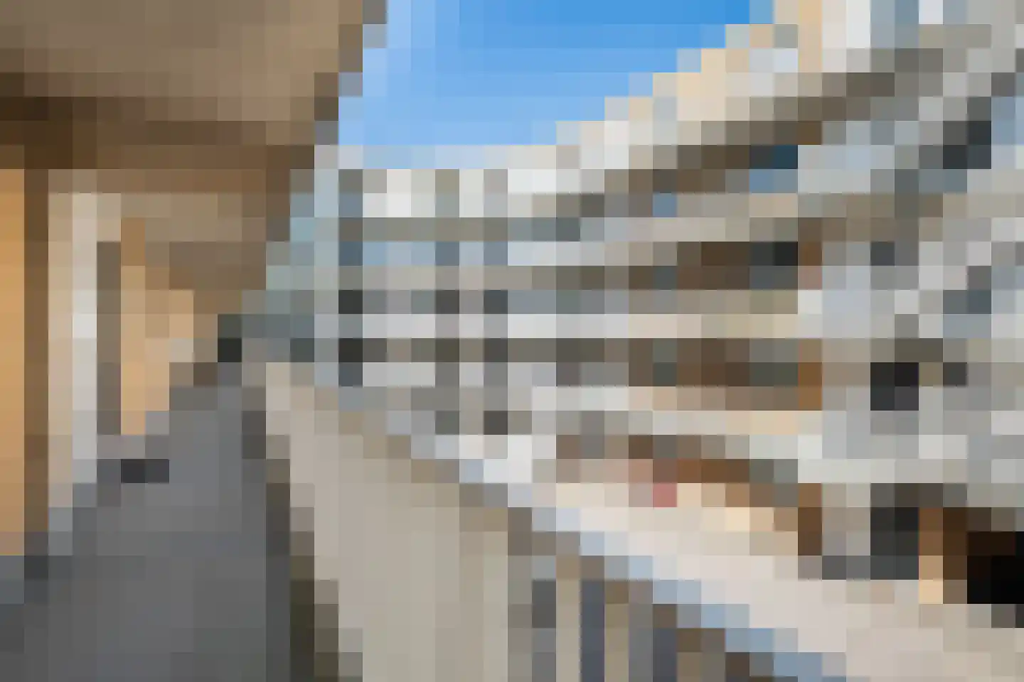 Kalhuisplaats 46 Den Haag thumbnail 5