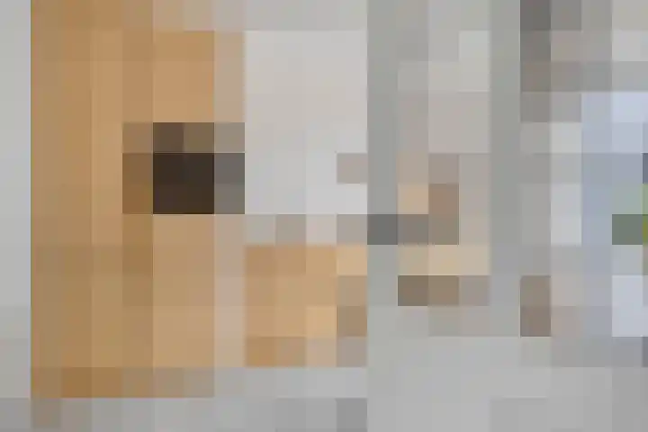 Kalisbuurt 66 Oud-Vossemeer thumbnail 9