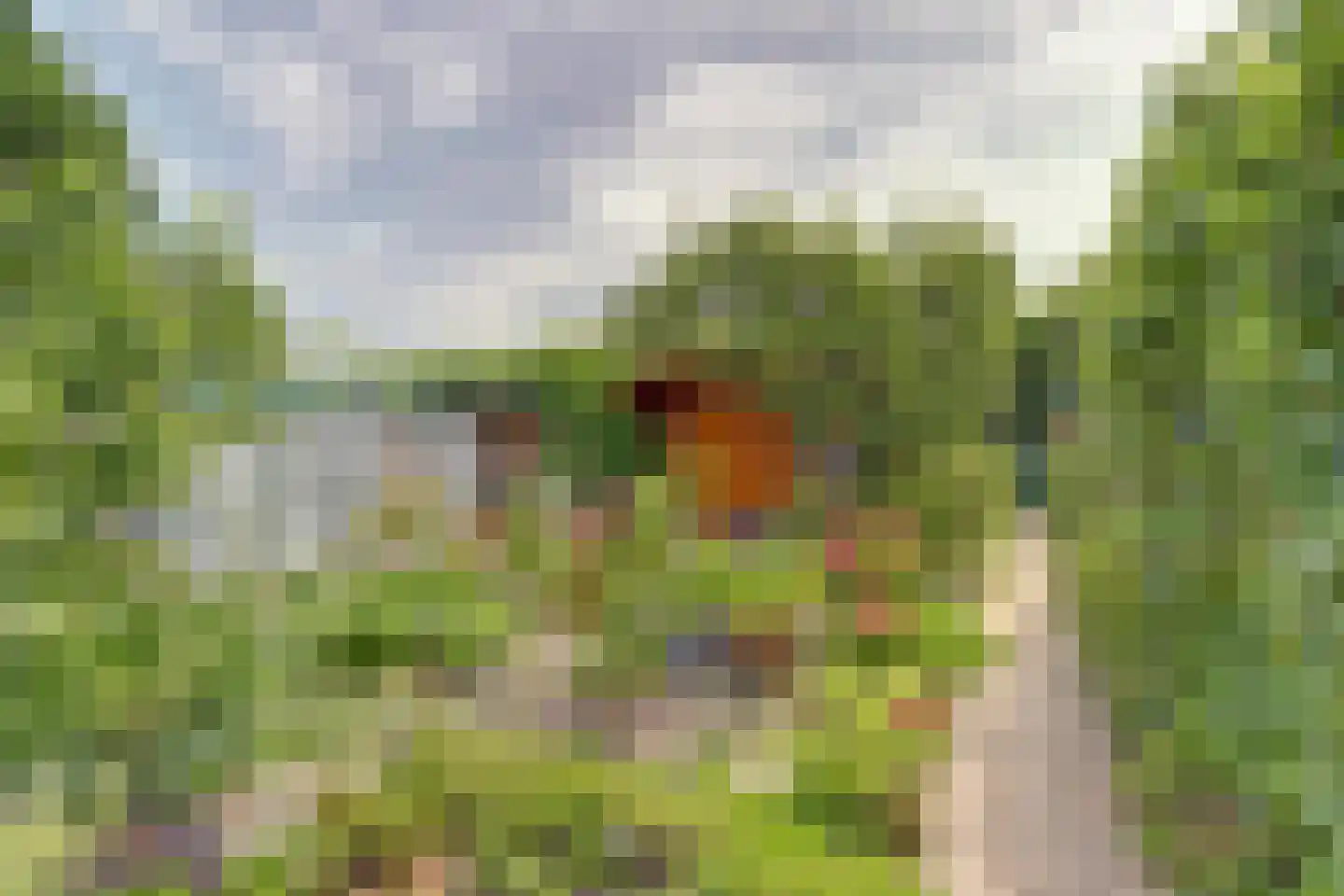 Kalisbuurt 76 Oud-Vossemeer thumbnail 35