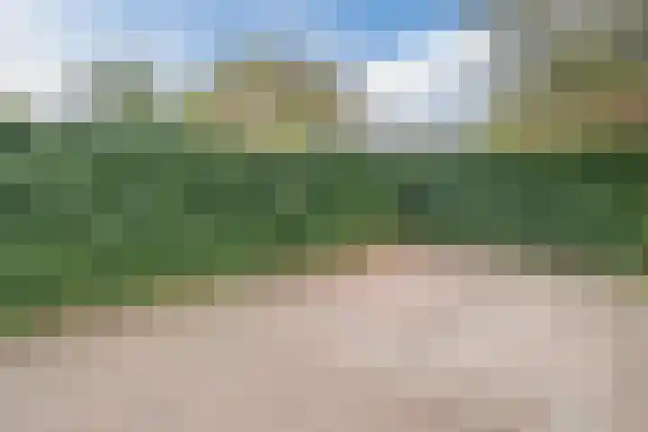 Kalishoek 11 Rozenburg thumbnail 26