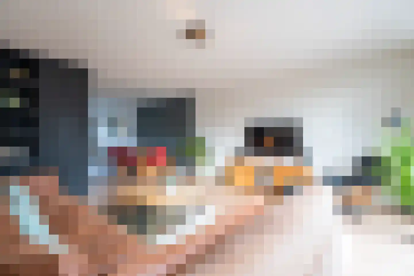 Kalishoek 26 Breda thumbnail 12