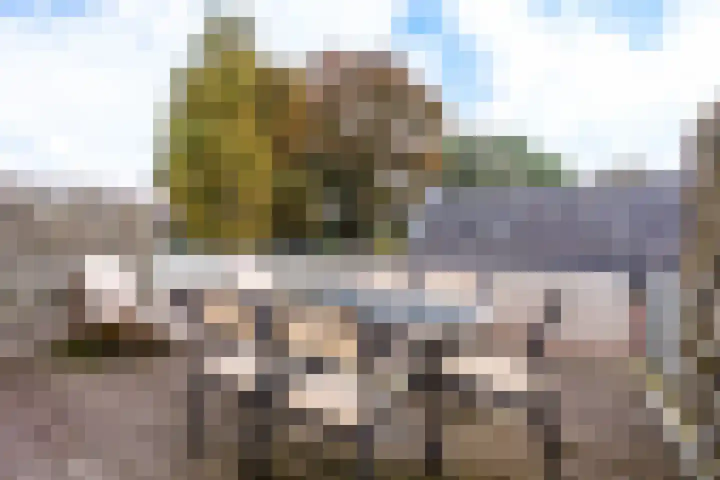 Kalishoek 26 Breda thumbnail 20