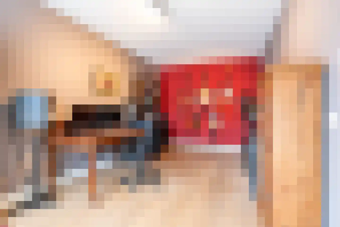 Kalishoek 26 Breda thumbnail 7
