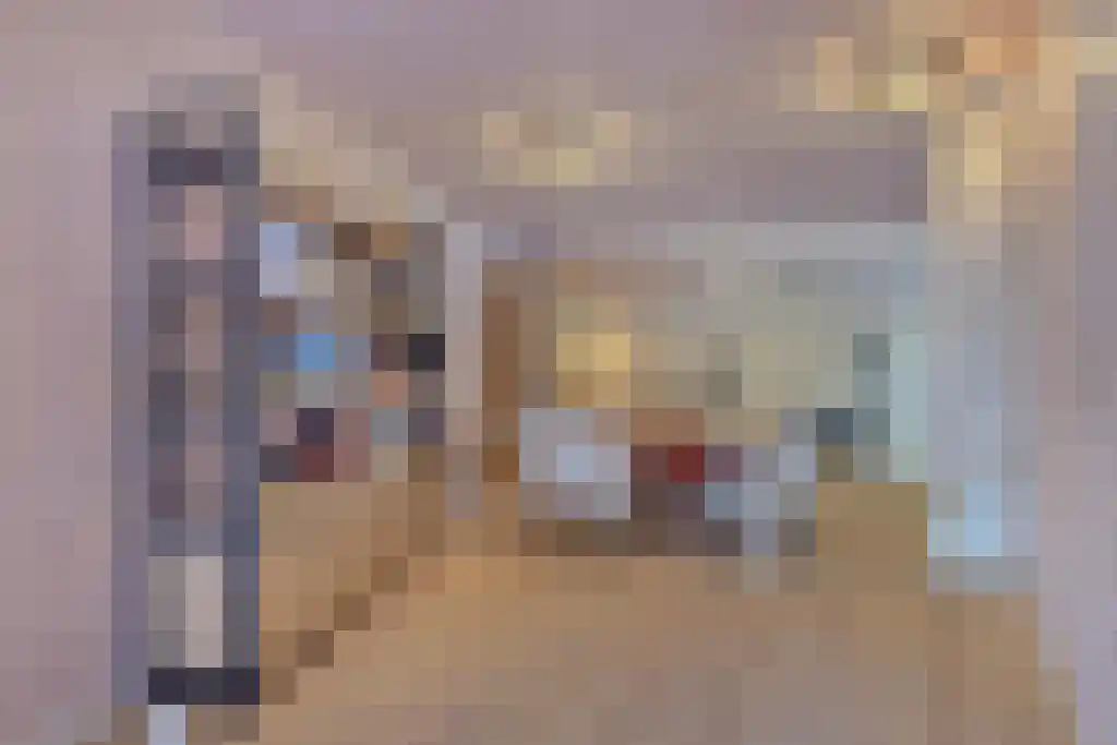 Kalishoek 28 Breda thumbnail 8