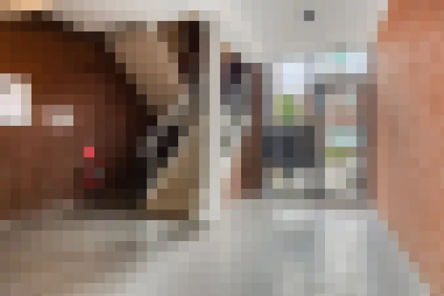 Kalishoek 8 Breda thumbnail 20