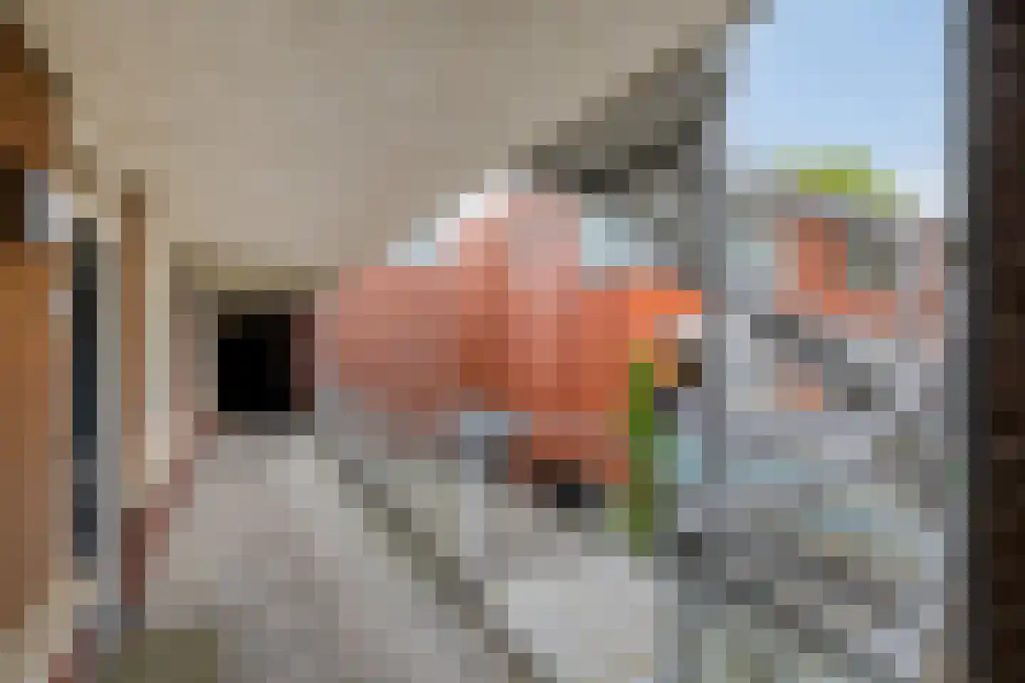 Kalishoek 8 Breda thumbnail 22