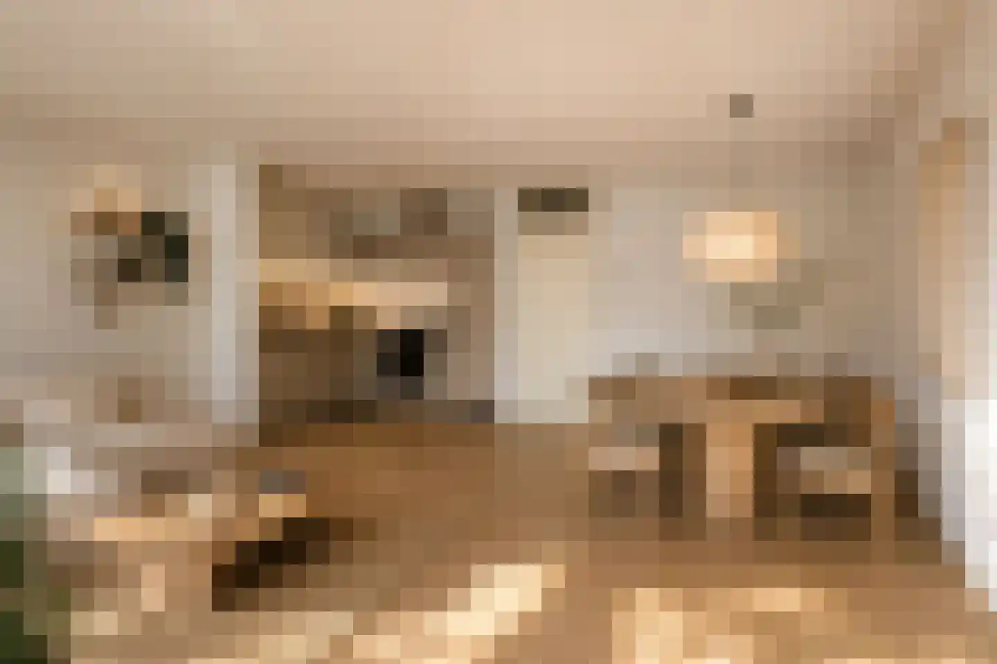 Kalishoek 8 Breda thumbnail 5