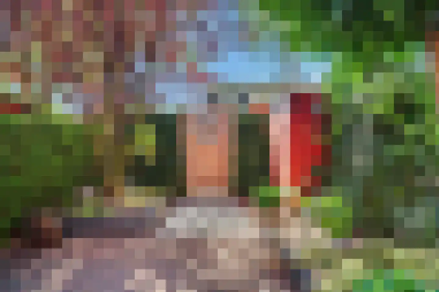 Kalixfors 10 Schiedam thumbnail 31